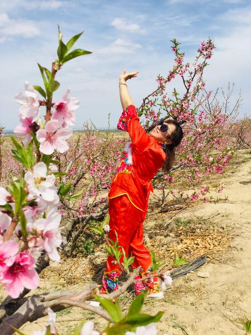 老牛影院在线观看电视剧免费